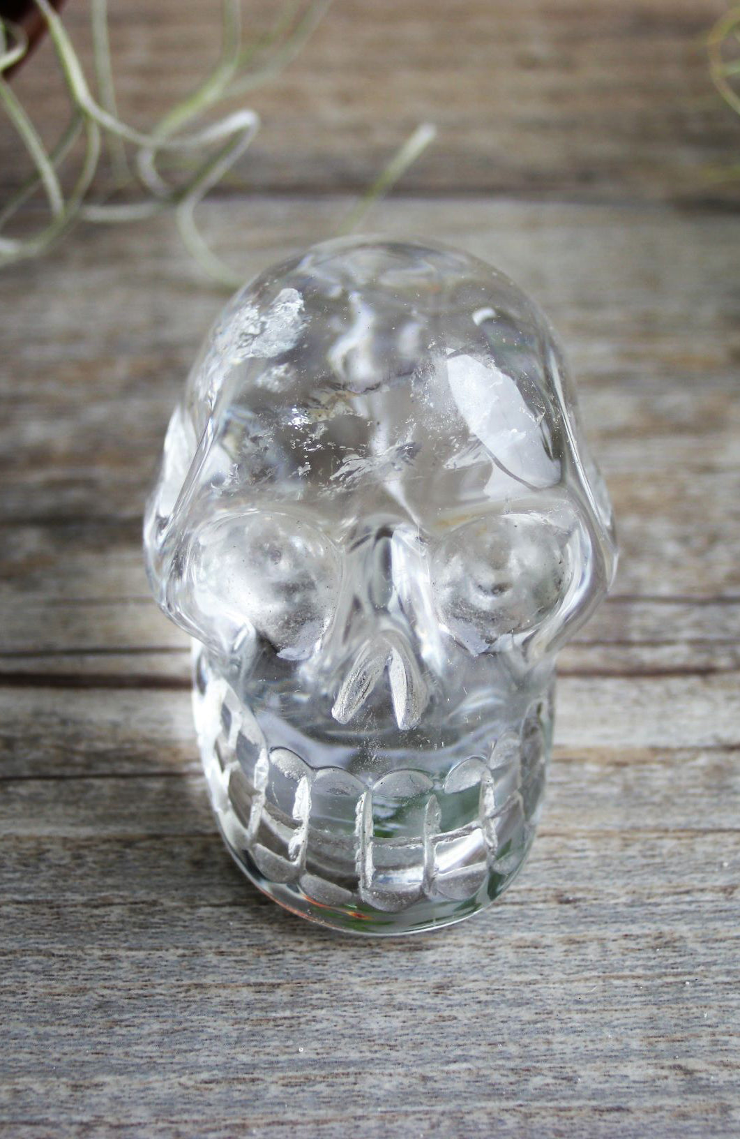 Clear Quartz Skull